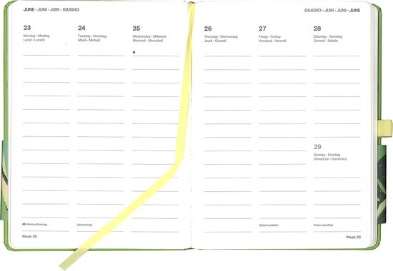 Matcha 2025 - Diary - Buchkalender - Taschenkalender - 16x22 ...