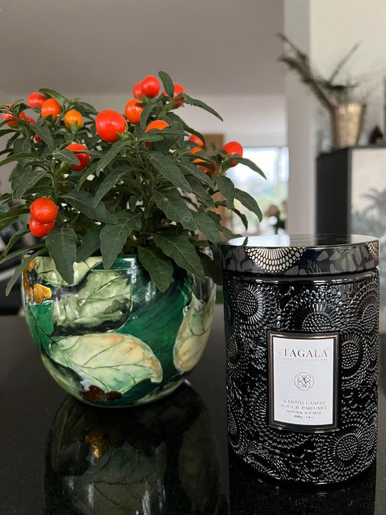 SCENTORINI Geurwas, kerstcadeauset, 8 geurwaspakken, 30 g x 8, sojawas, waxmelts voor geurlamp, kaarswarmer, geuren - vanille-amandelkoekjes, kasjmierbos, haardloed en kerstkrans enz SCENTORINI Geurwas, kerstcadeauset, 8 geurwaspakken, 30 g x 8, sojawas, waxmelts voor geurlamp, kaarswarmer, geuren - vanille-amandelkoekjes, kasjmierbos, haardloed en kerstkrans enz