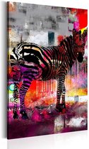 Schilderij - Zebra in moderne kleuren