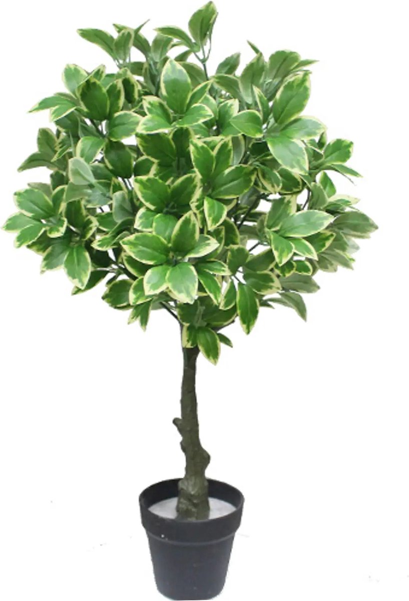 Kunstpalm Kunst Heester struik - 75cm - Namaak huisplant - Kamerplant - groen/wit Lichtgroen