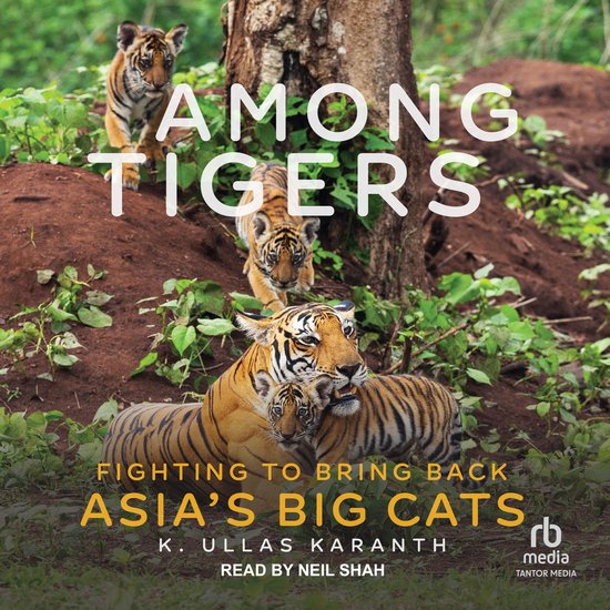 Among Tigers - cover