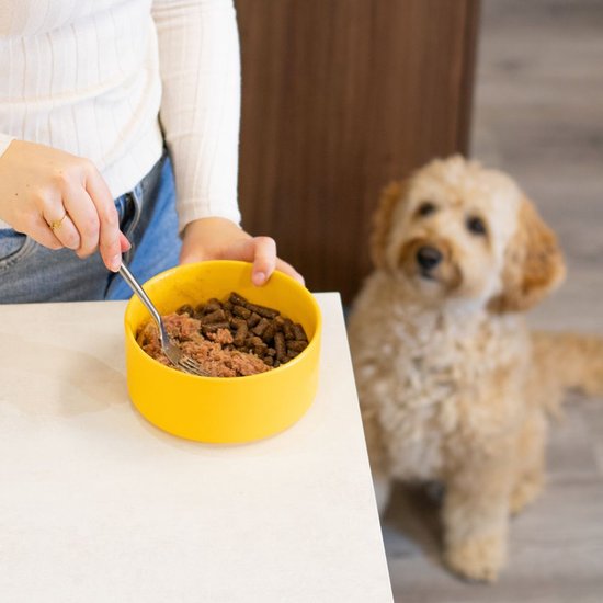 Een gele kom met hondenvoer, bestaande uit brokjes en vlees, gemengd met een vork. Een hond kijkt toe.