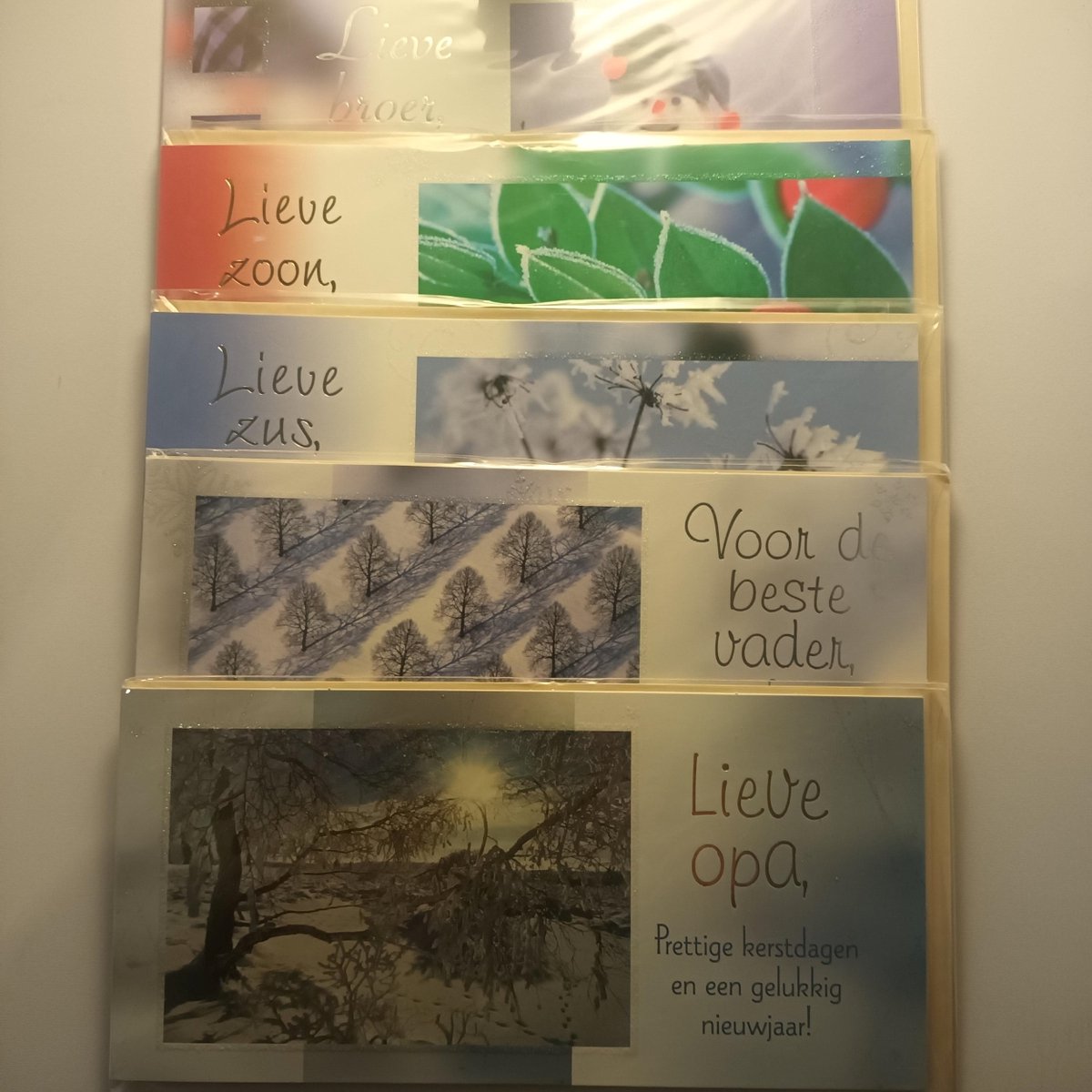 5 Kerst Nieuwjaar Wenskaarten - Speciale Tekst Kaart Opa Vader Zus Zoon Broer - Kerstmis - Christmas - Weihnachten - Noel - Rechthoek 10x21cm - Met Envelop - 5 Motieven - Hallmark