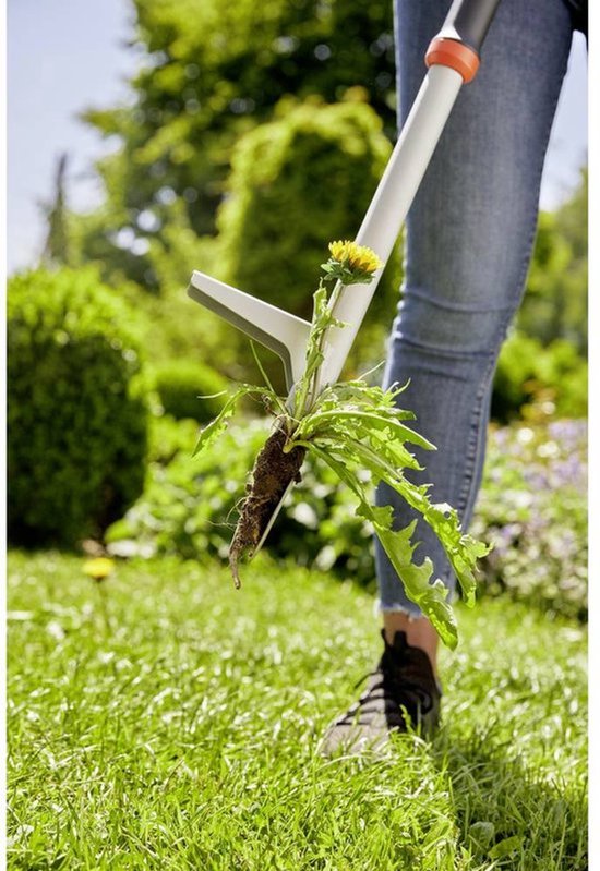 GARDENA onkruidsteker verwijdert paardenbloem met wortel uit gras, vrouw in jeans.