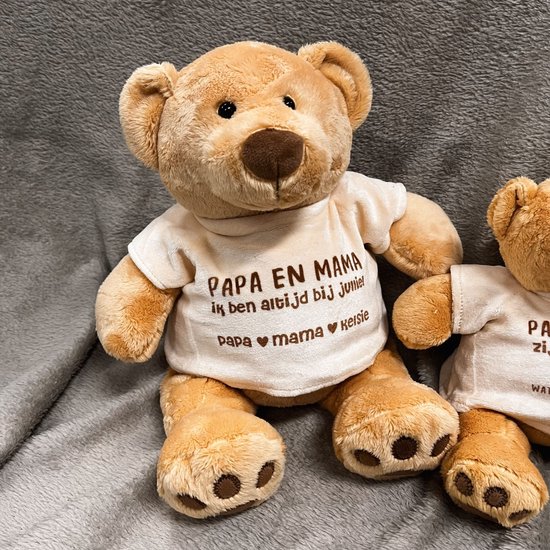 Zachte Stuk Speelgoed Roze Teddybeer Voor Gift Van Het Jonge Geitjes De Nieuwe Jaar Stock Foto