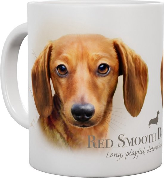 Teckel Teckel lisse - Mug 440 ml