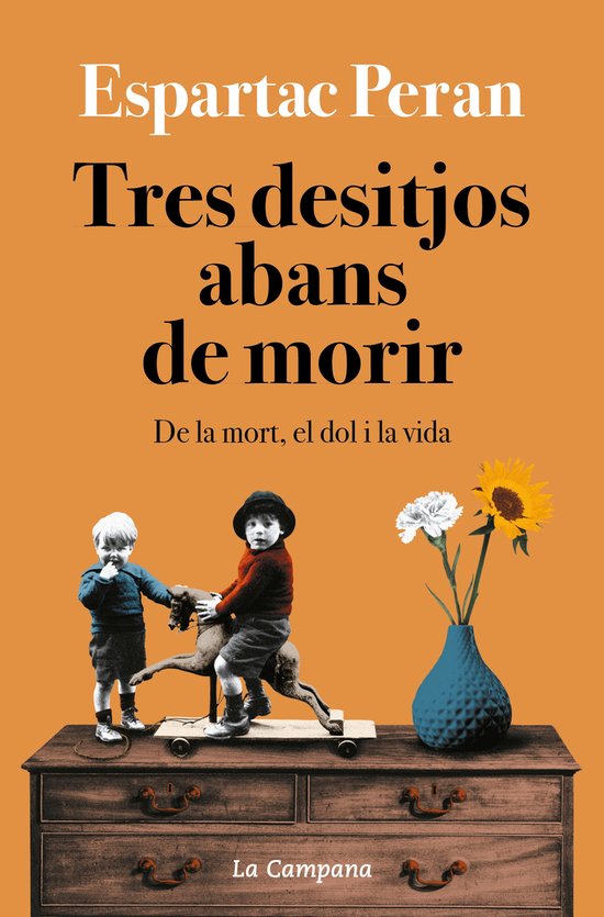 Tres desitjos abans de morir - cover