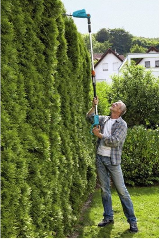 Man snoeit de bovenkant van een hoge, groene heg met een turquoise heggenschaar met steel.