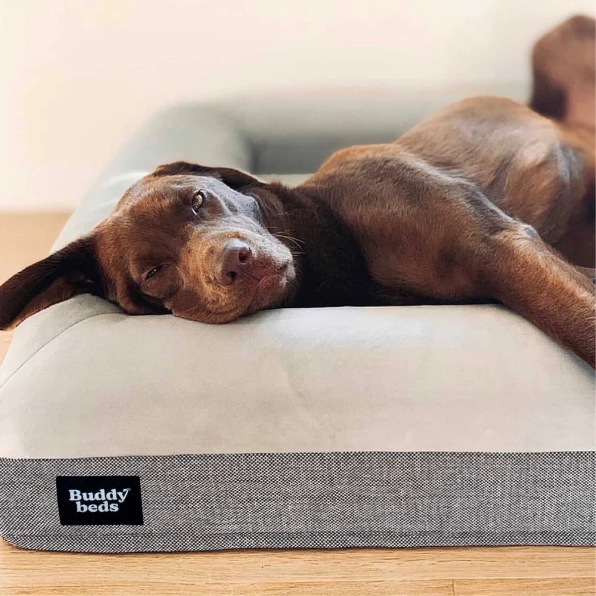 Buddy Buddy Beds Orthopedische Hondenmand - afbeelding 3