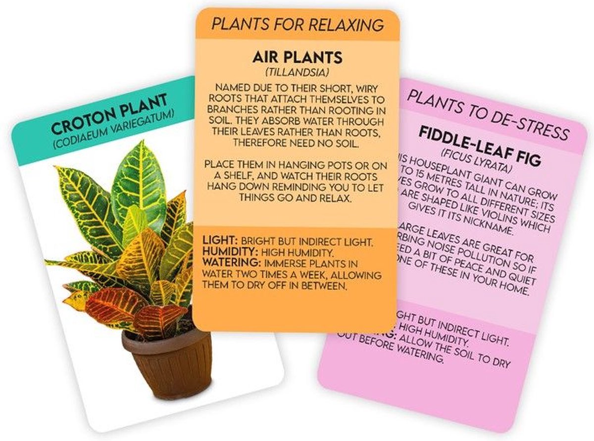 Positive plants - plantenweetjes