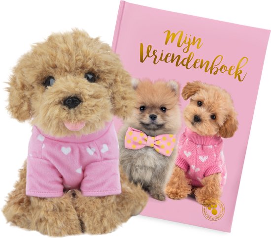 Studio Pets Livre d'amis Puppy + peluche caniche Cookie 23 cm
