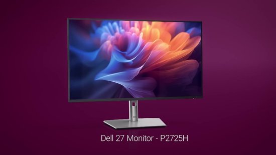 Dell P2425H Plus Monitor - Full HD IPS - 100Hz - Ergonomisch