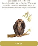 Product afbeelding  14