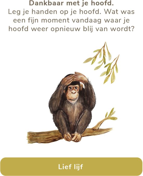 Welterusten, slaap lekker! Kaartenset - Ontspanning voor bedtijd