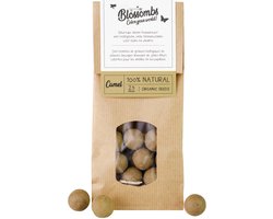 Blossombs Zaadbommetjes in Kraft Zak - 50 Bloembommetjes - Licht Bruin - Cadeau voor Vlinders en Bijen