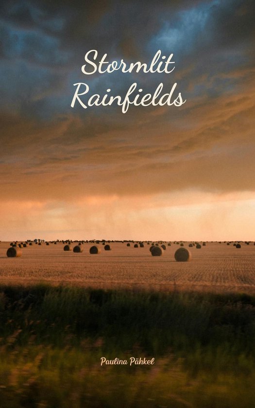 Stormlit Rainfields