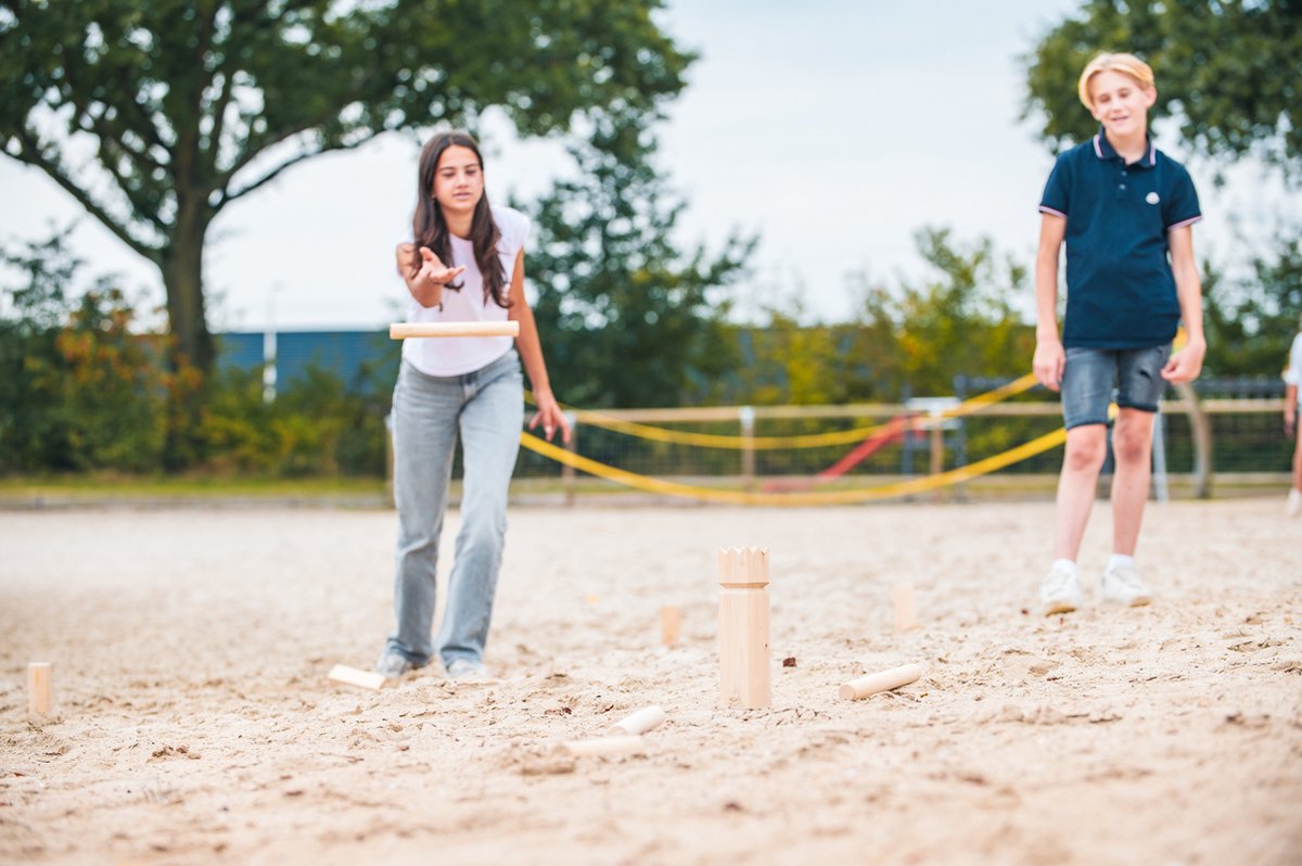Bex Kubb Family – Zweeds Vikingschaak – Duurzaam Buitenspel – FSC Berkenhout – Koning Met Houtkleurige Kroon – Vanaf 8 Jaar – Inclusief Opbergnet Met Trekkoord — afbeelding 16
