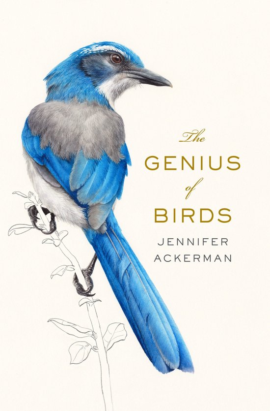 The Genius of Birds - cover