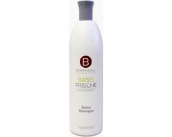 Berrywell shampoo for daily care Basis Frische Salon Shampoo 1000 ml