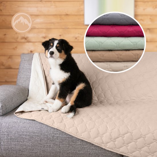 Tuffeel Waterdichte hondendeken, 30 x 30 inch kleine huisdierbankhoezen voor bank, stoel bed meubelbeschermer van honden, wasbaar en omkeerbaar-blauw groen Tuffeel Waterdichte hondendeken, 30 x 30 inch kleine huisdierbankhoezen voor bank, stoel bed meubelbeschermer van honden, wasbaar en omkeerbaar-blauw groen