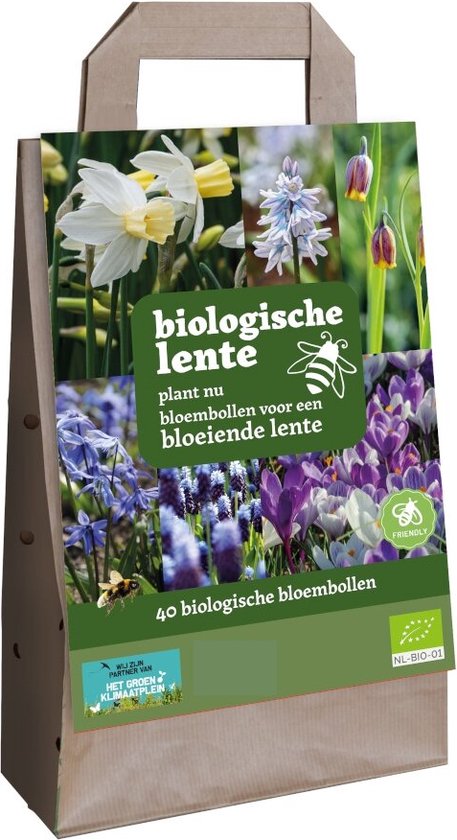 40 Biologische Bloembollen - Bloembollen Mix - Voordeelverpakking - Verschillende Kleuren - Grootverpakking