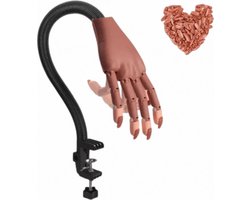 Oefenhand voor Nagels - Flexibel - Met Standaard - 100 Nageltips en Acryl Penselin - Opleiding Nagelkunst
