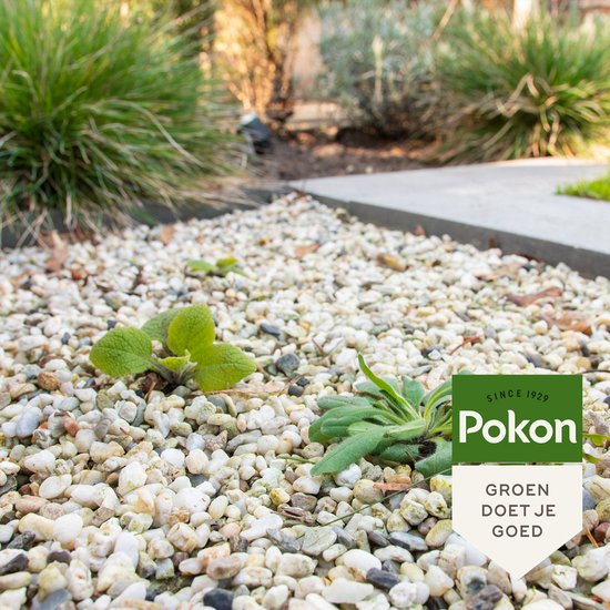 Pokon tegen Onkruid - Concentraat - 450ml - Onkruidbestrijding - Natuurlijk - Voldoende voor 200m² van Merkloos	 — afbeelding 5