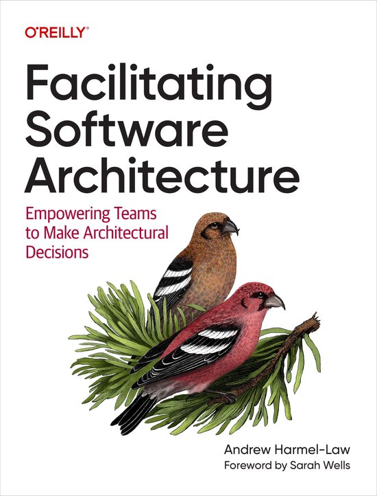 Foto: Facilitating software architecture