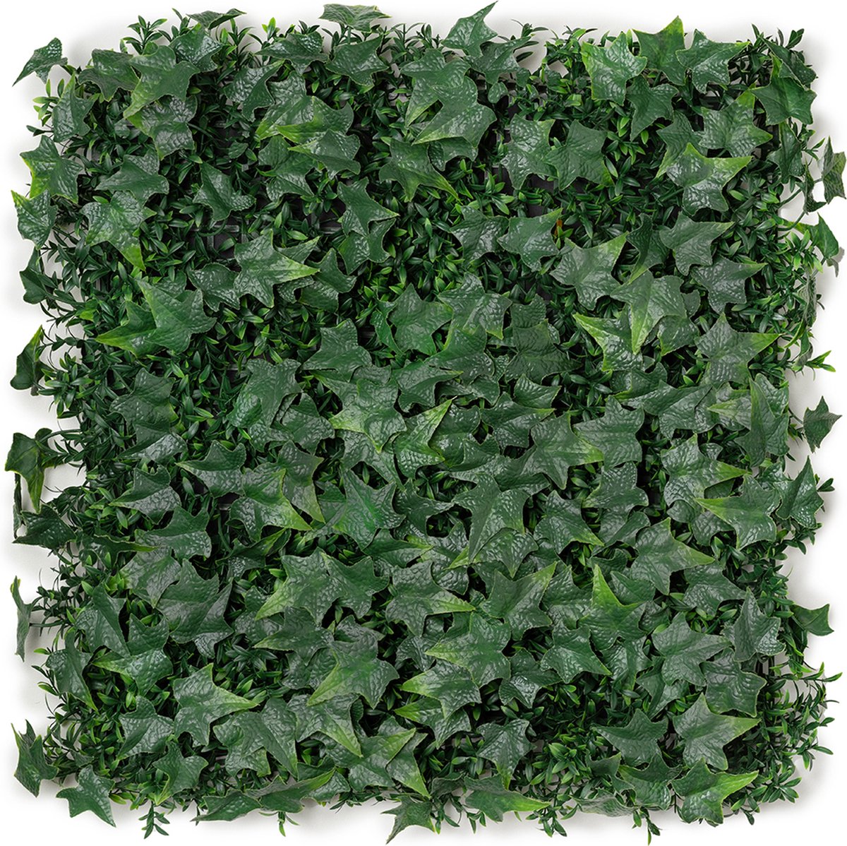 Kunsthaag plantenwand - Planten muur - Voor binnen en buiten - Klimop met Buxus - 50 x 50