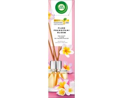 Air Wick luchtverfrisser geurstokjes met Essentiële Olieën delicate frangipani bloemen - 40ml