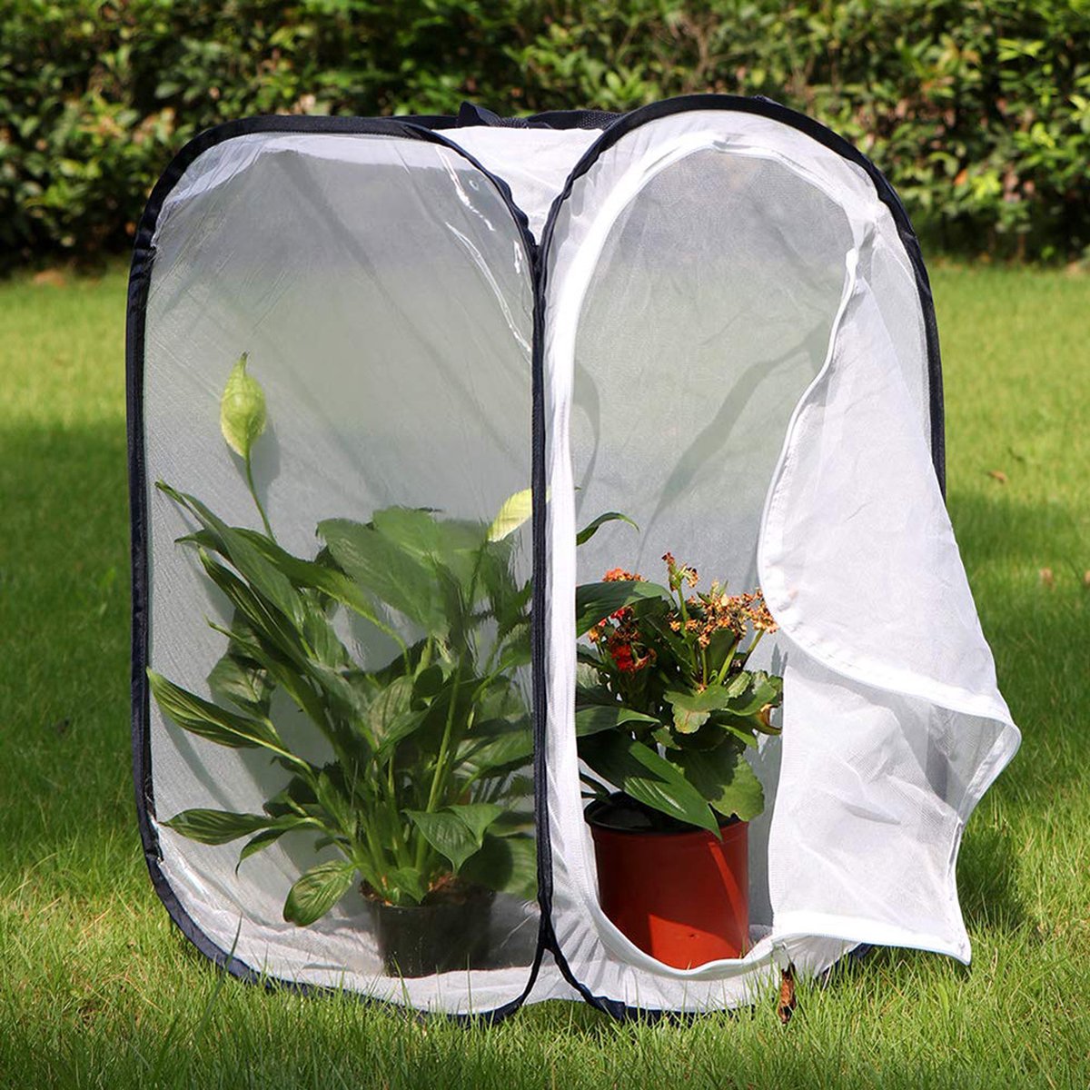Insect Lore Butterfly Pavilion Habitat 2 Foot Tall Clear Mesh Pops U