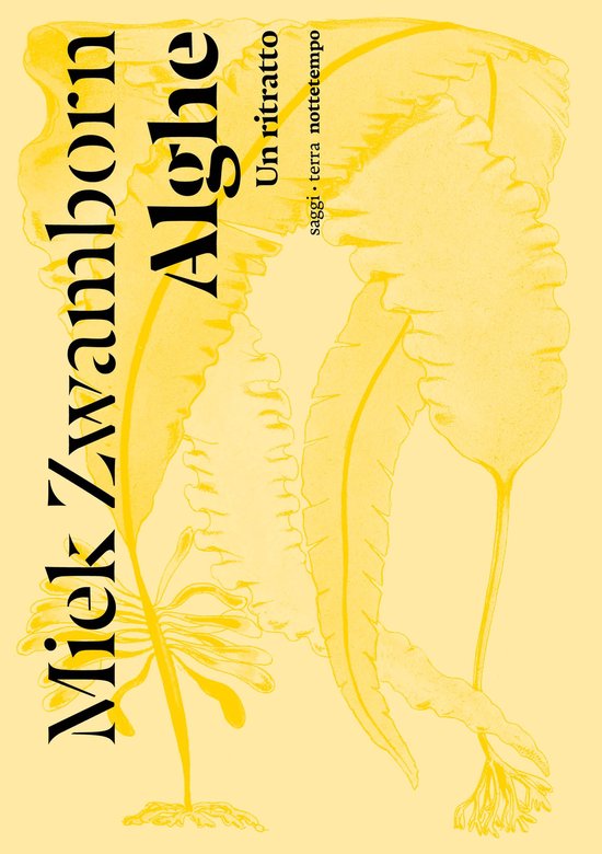 saggi terra - Alghe - cover