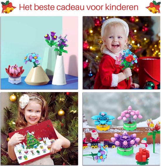 Die Stadtgärtner Adventskalender - Nederland Die Stadtgärtner Adventskalender - Nederland