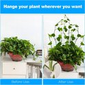 Voor en na gebruik van plantenclips: een rommelige plant versus een geordende plant langs de muur.