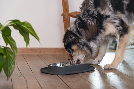 Een merle Australische herder eet uit een donkergrijze dubbele voerbak op een houten vloer.