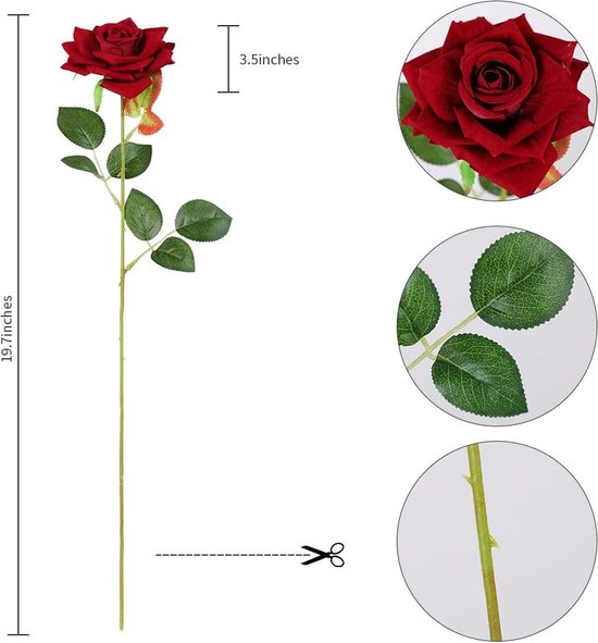 Witte Rozen met grote knop | Bloemen Bezorgen Utrecht