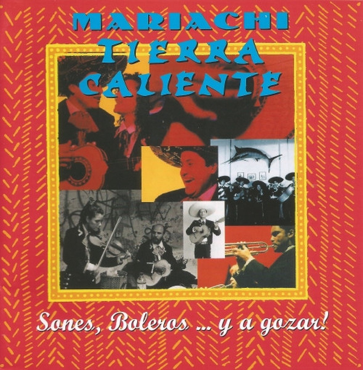 Sones, Boleros ... Y A Gozar!