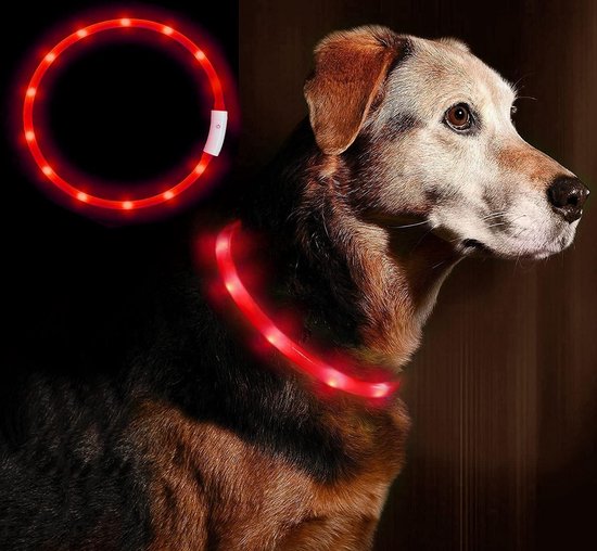 Professor Q Rode LED Halsband voor honden