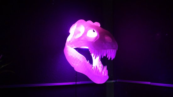 Trex Schedel RGB Lamp - Tyrannosaurus Dinosaurus Wandkunst - Unieke Woondecoratie, Gamingkamer, Kinder Nachtlampje, Bureau Decoratie van Merkloos — afbeelding 5
