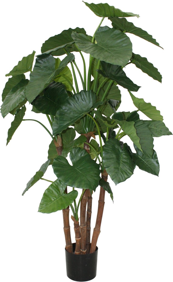 Designplants Alocasia Kunstplant
