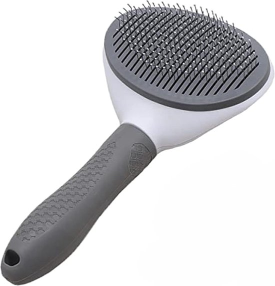 Wahl