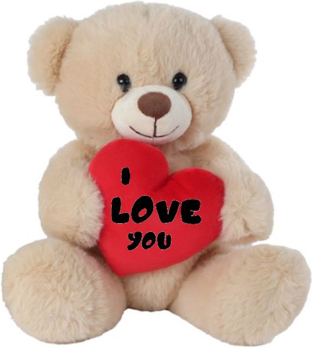 Take Me Home pluche beer bruin met rood hart Valentijn Bedrukt met tekst "I love you" 21 cm