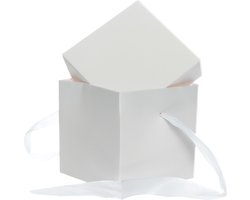 Set van 2 Verpakkingsdozen – Cadeaudozen met Lint - 10x10cm