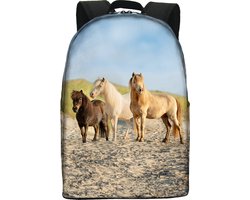 school - rugtas - paard - pony - strand - Kleuter