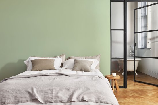 Levis EasyClean - Mur Mat Mix - Vert Clair C20 - 1L