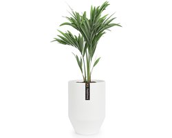 Fox & Fern Bloempot met Stop, Grote Bloempot voor Binnen/Buiten, UV- en Vorstbestendige Plantenpot, Polystone Bloempot Wit, Diameter 25 cm, Grote Plantenpot voor Kamerplanten