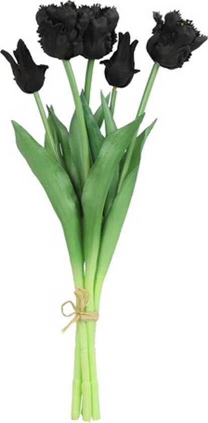 Tulp (parrot) boeket zwart-L16B16H40CM