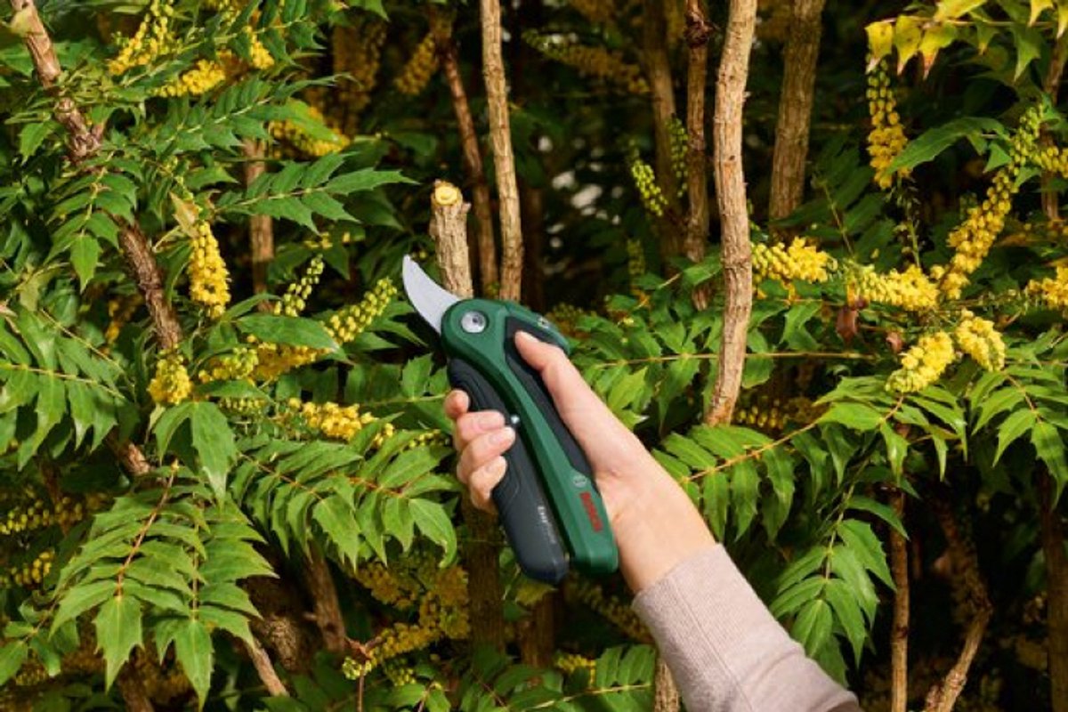 Bosch EasyPrune Accu snoeischaar - Met 3.6 V accu en USB lader