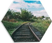 WallClassics - PVC Schuimplaat Hexagon  - Spoorweg door Landschap - 30x26.1 cm Foto op Hexagon (Met Ophangsysteem)