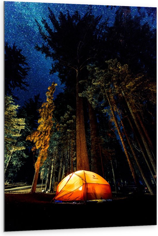 WallClassics - Dibond - Tentje onder de Bomen - 80x120 cm Foto op Aluminium (Met Ophangsysteem)
